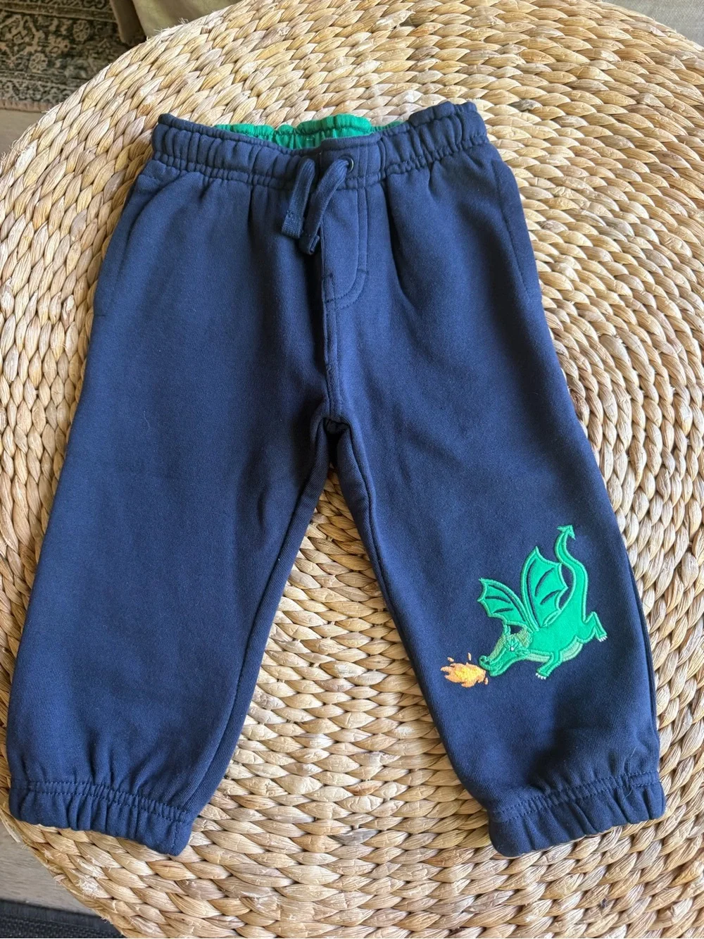 Gymboree Dragon Fleece Pants